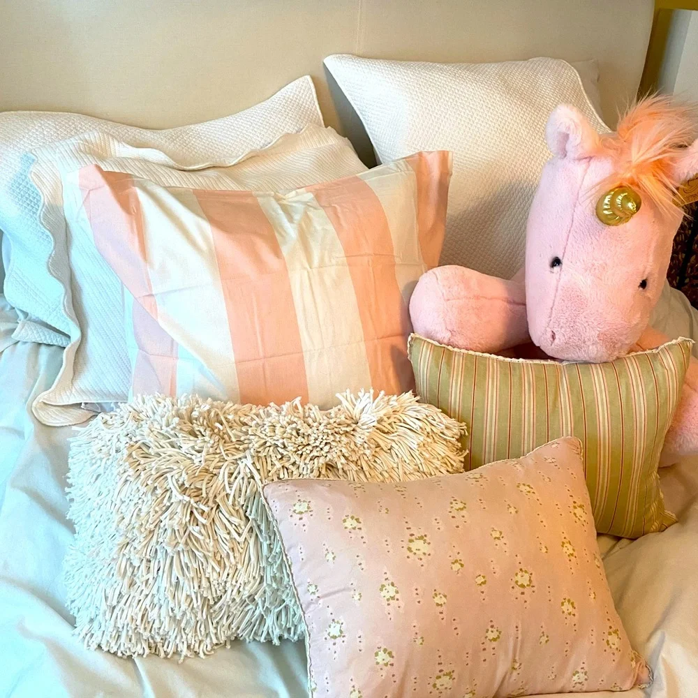 Set of 2 Boutique Feather filled pillows for Nursery or Child’s room 12x16
